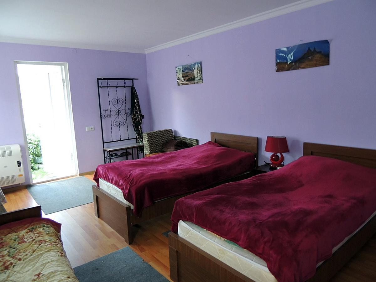 Nino Khetaguri Guest House 카즈베기 외부 사진