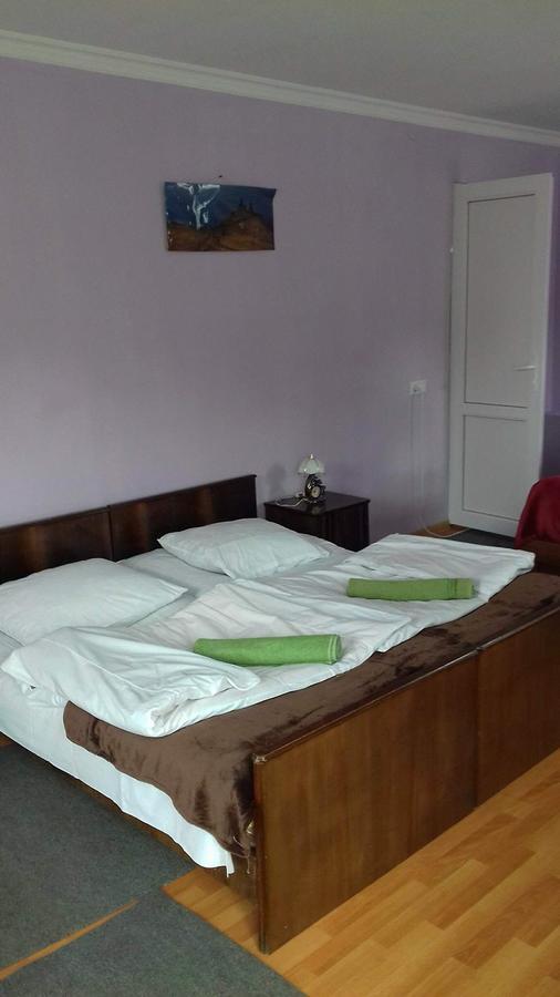 Nino Khetaguri Guest House 카즈베기 외부 사진