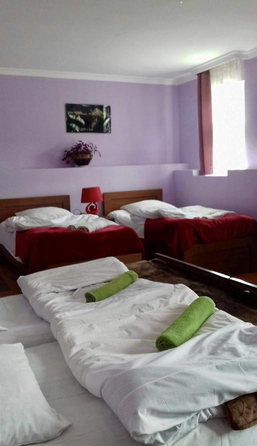 Nino Khetaguri Guest House 카즈베기 외부 사진