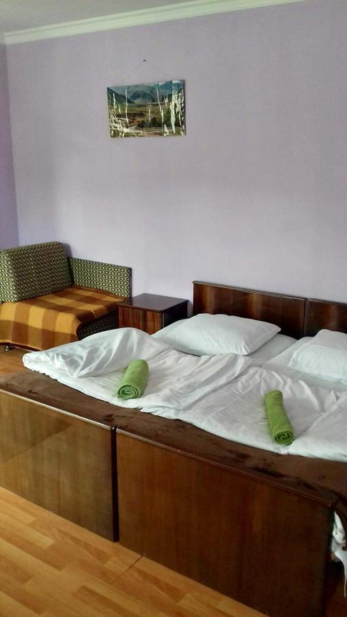 Nino Khetaguri Guest House 카즈베기 외부 사진
